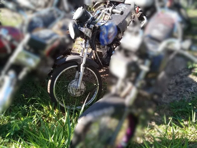 Foto
