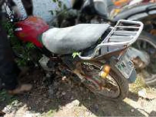 Foto