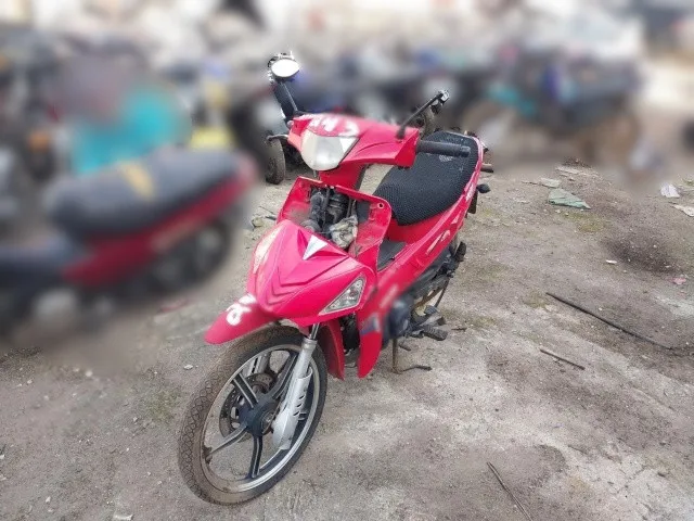 Foto