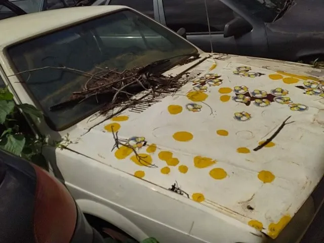 Foto