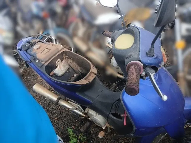 Foto