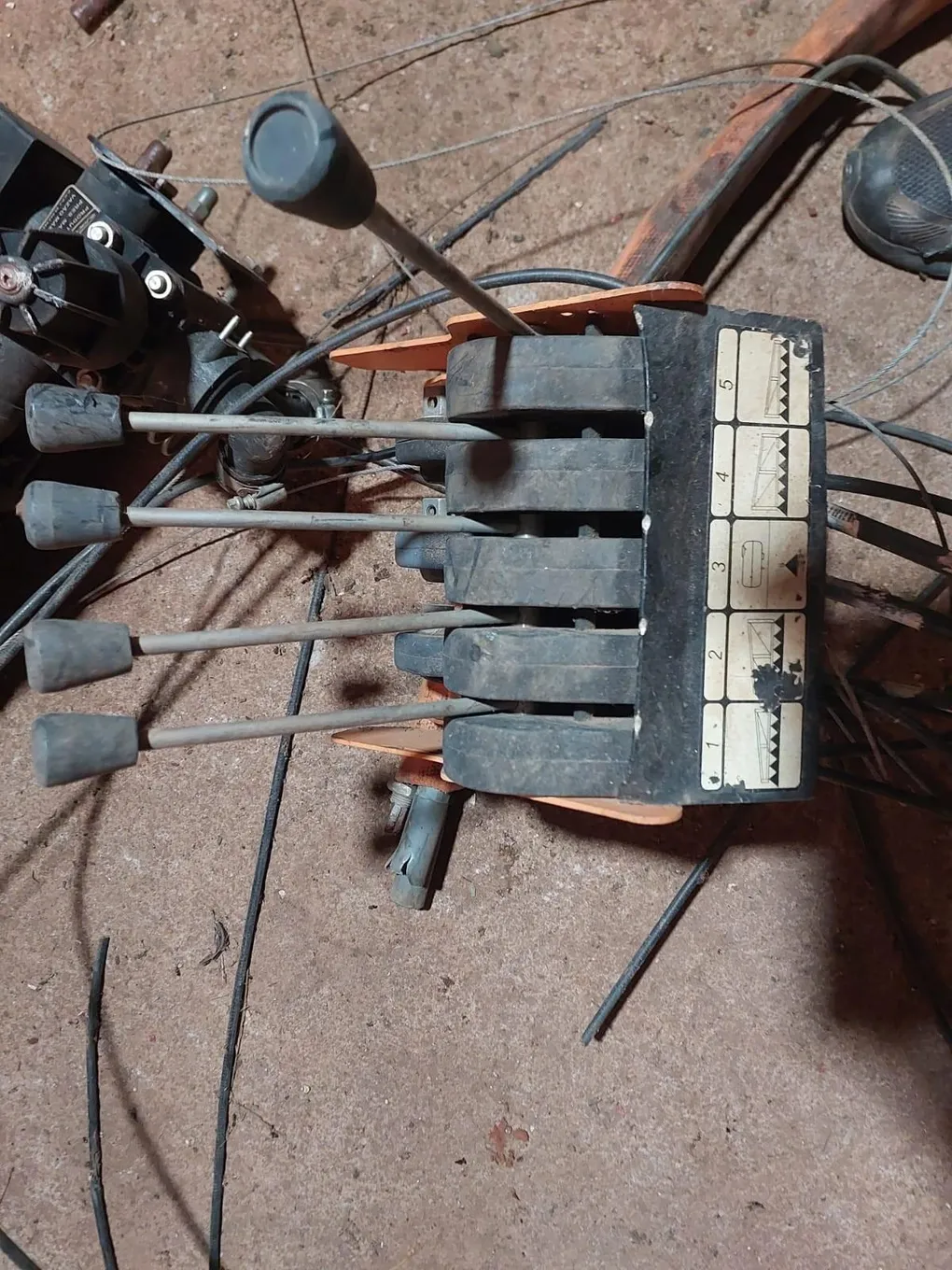 Foto