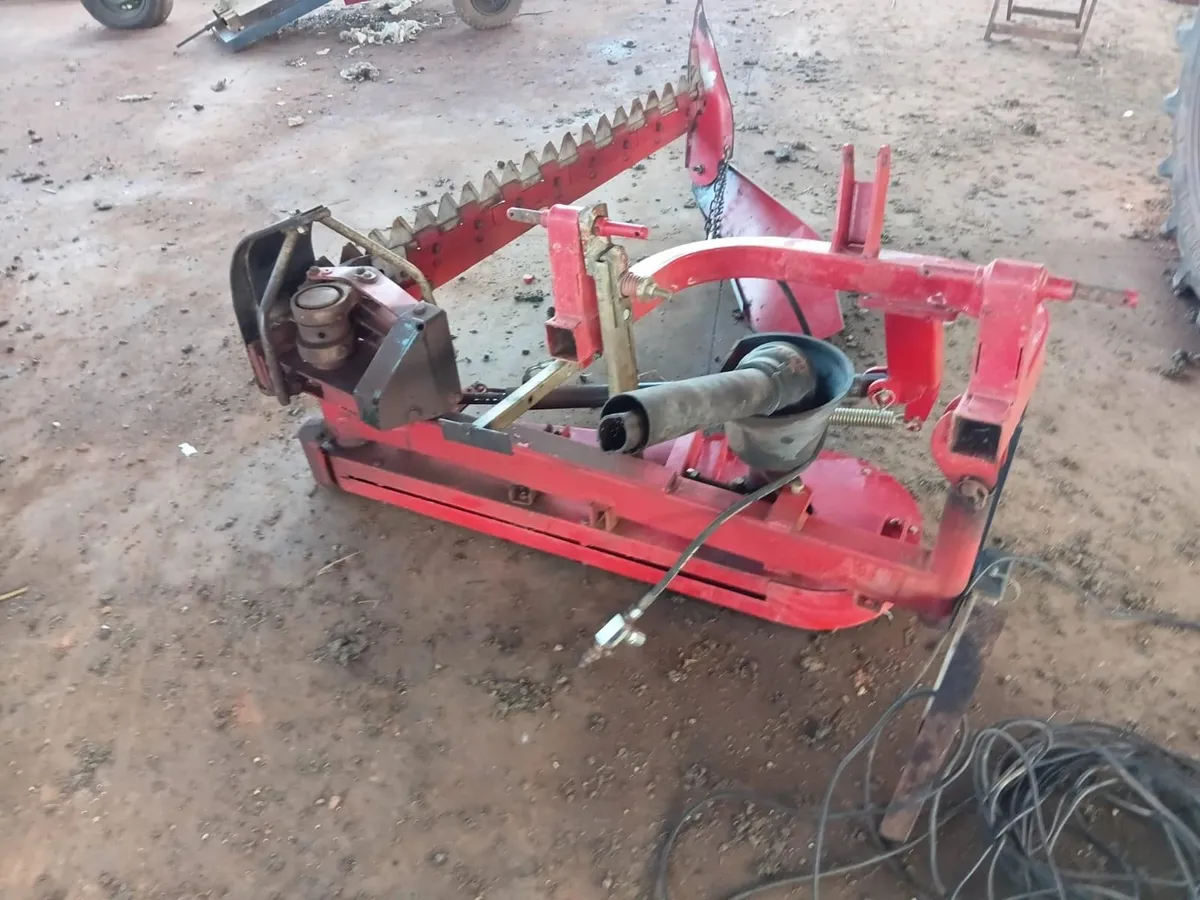 Foto