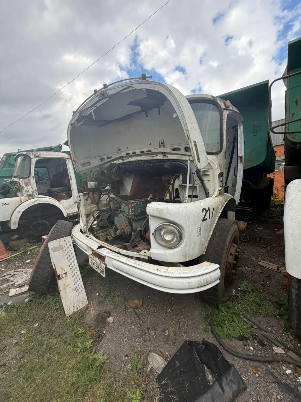 Foto