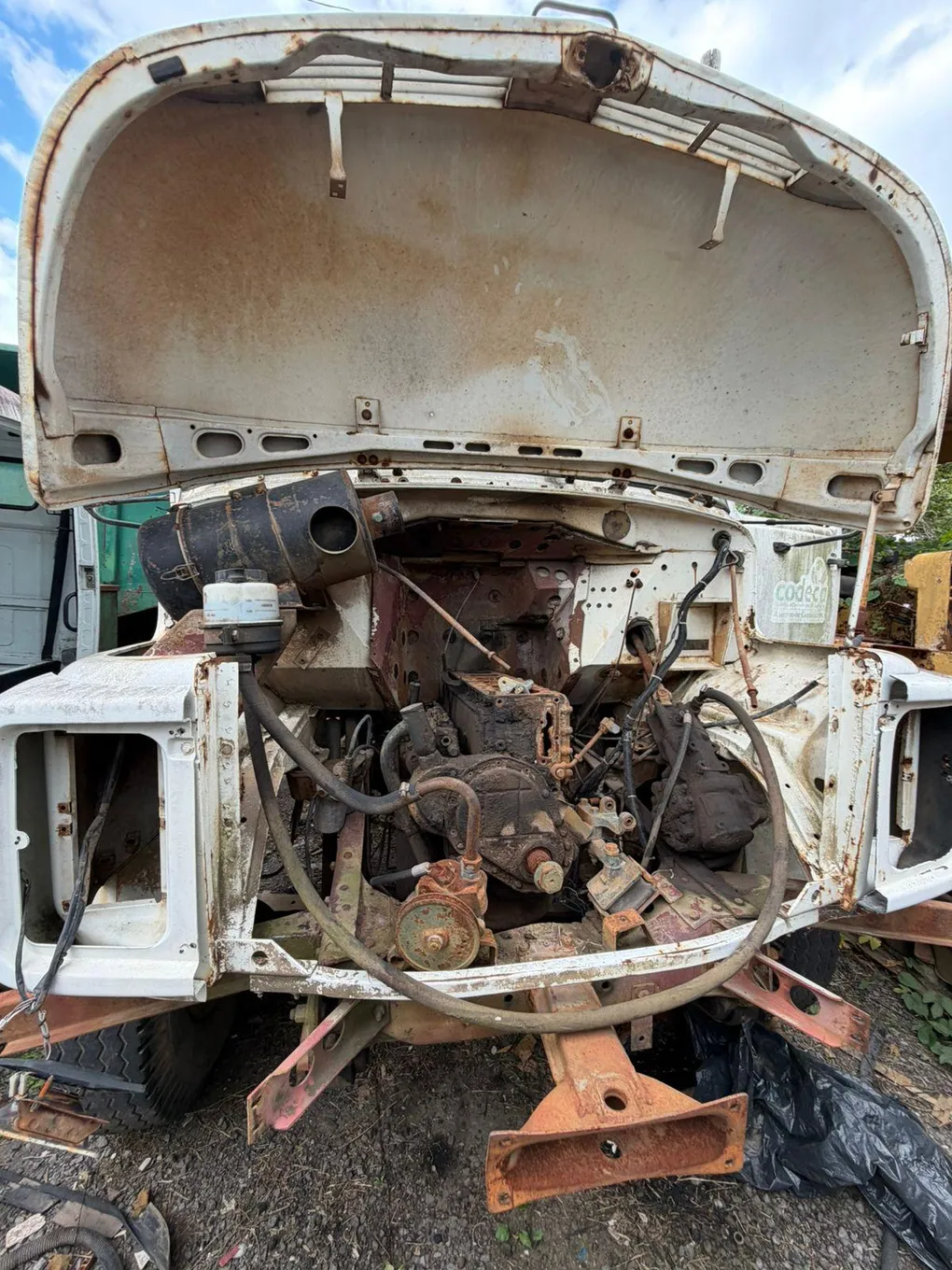 Foto