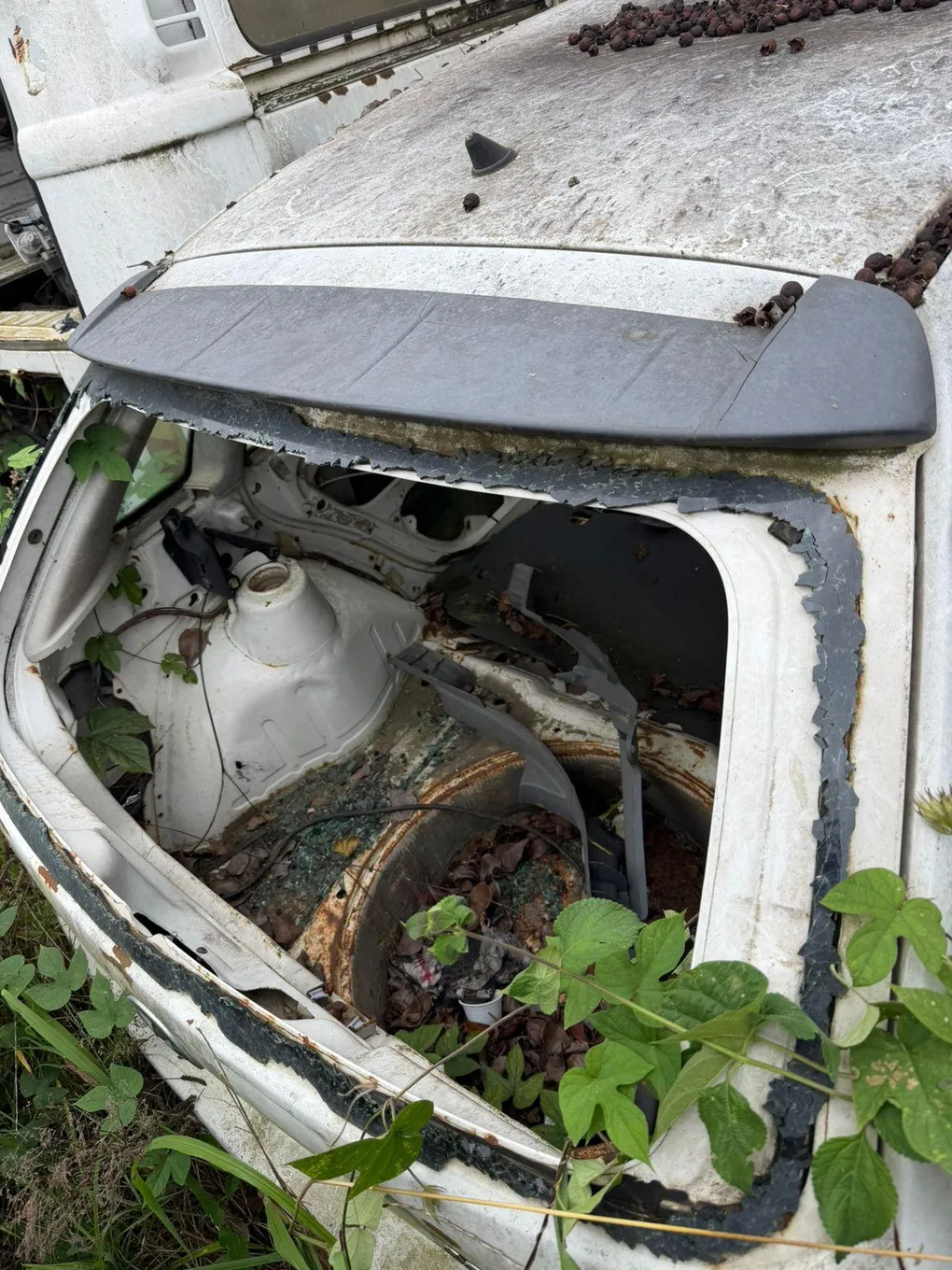 Foto