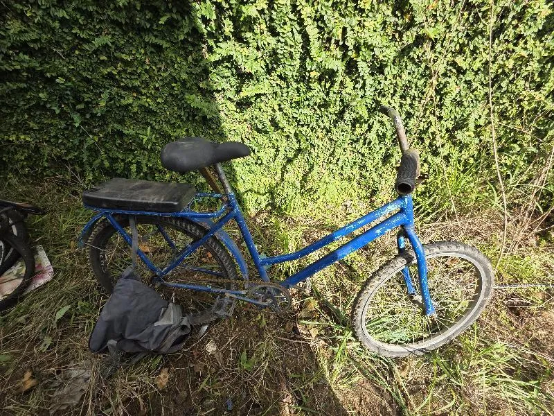 Foto