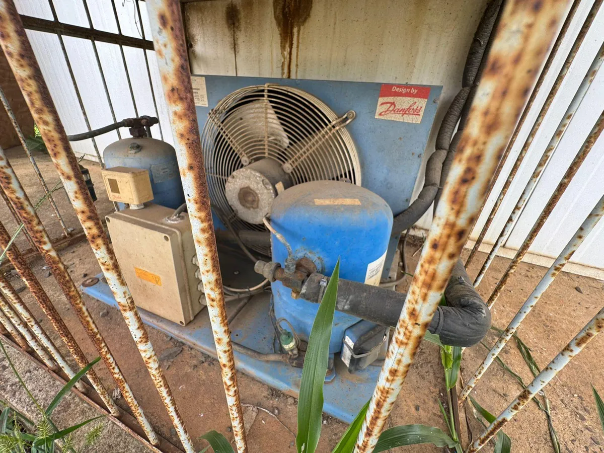 Foto