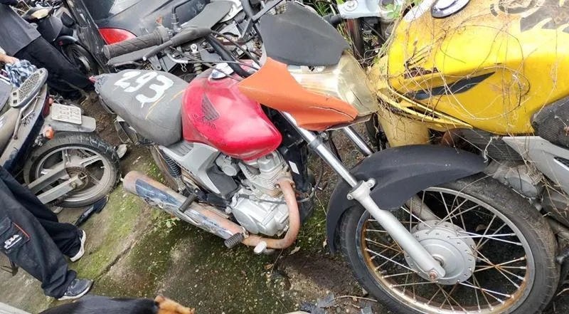 Foto