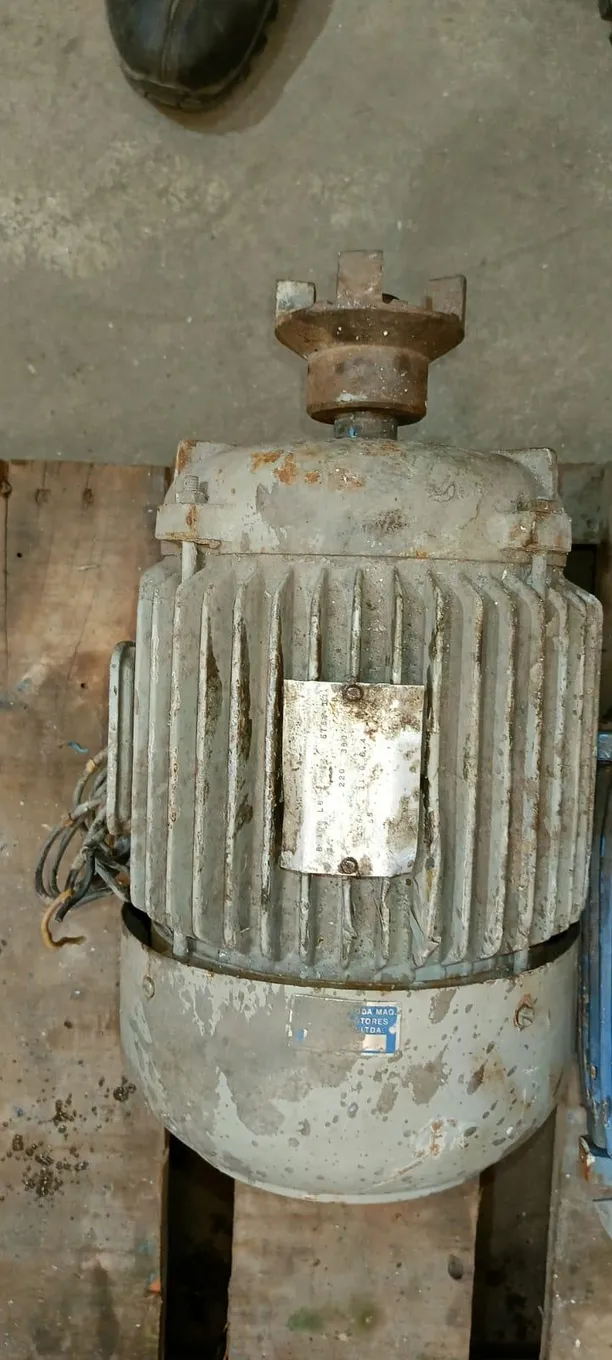 Foto