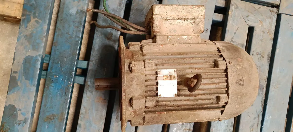 Foto
