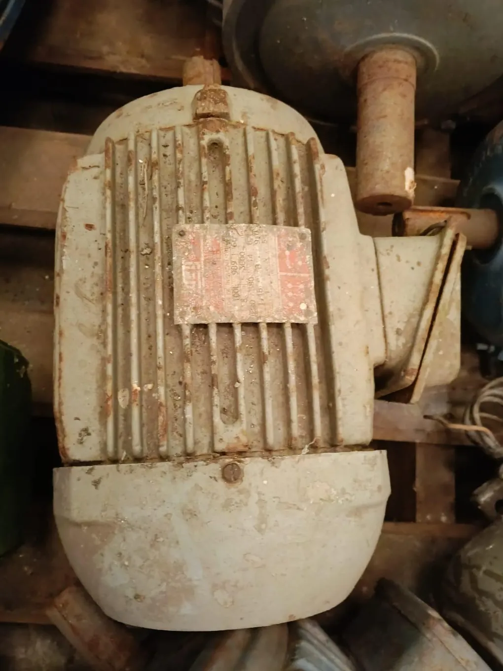 Foto