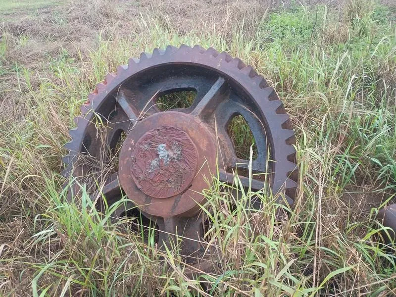 Foto