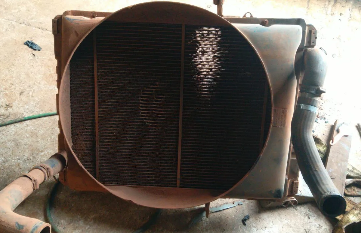 Foto