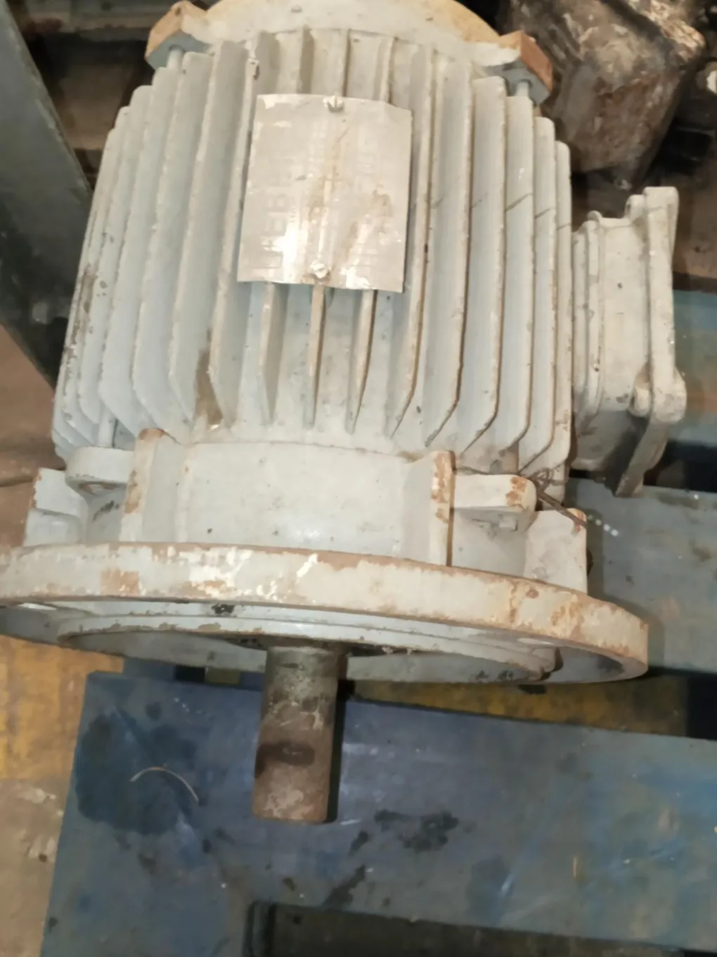 Foto