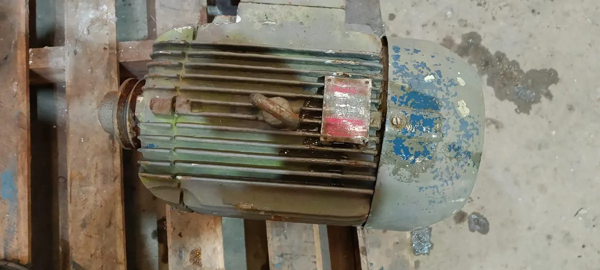 Foto