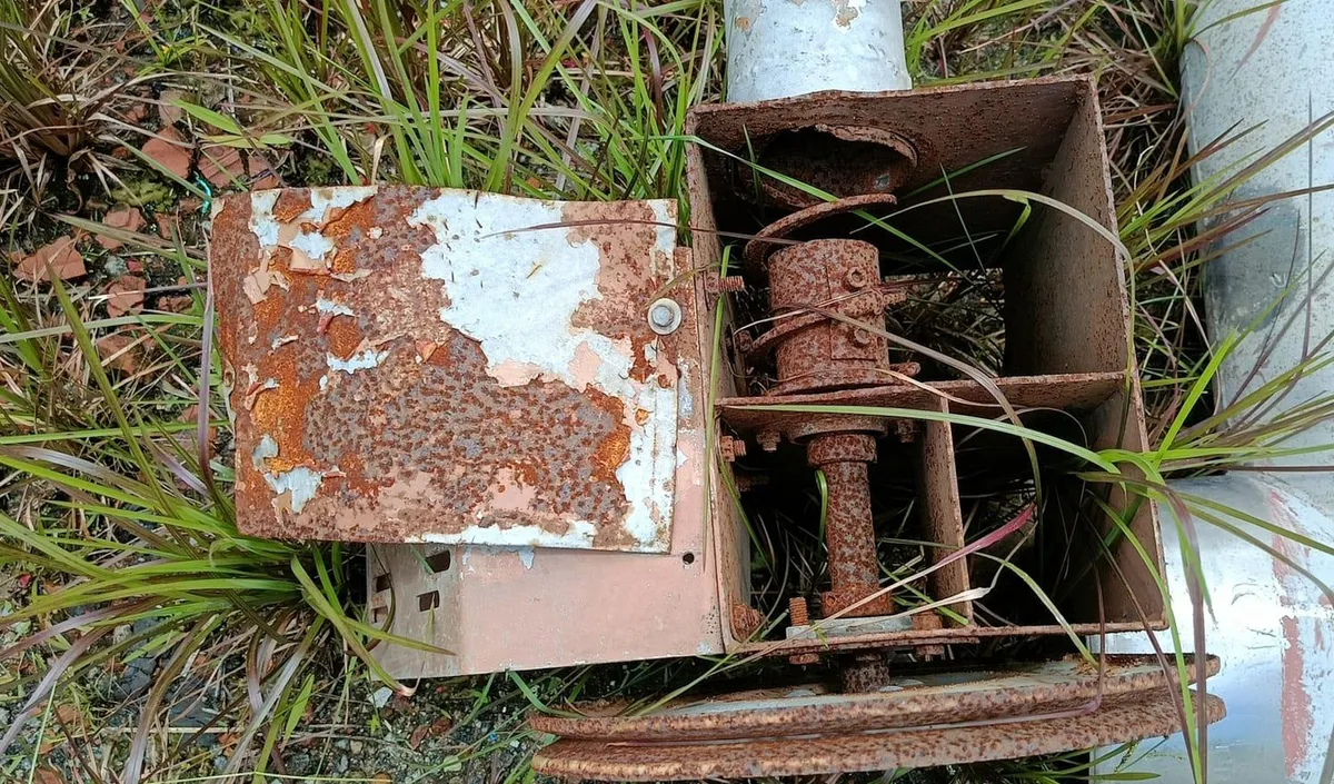 Foto