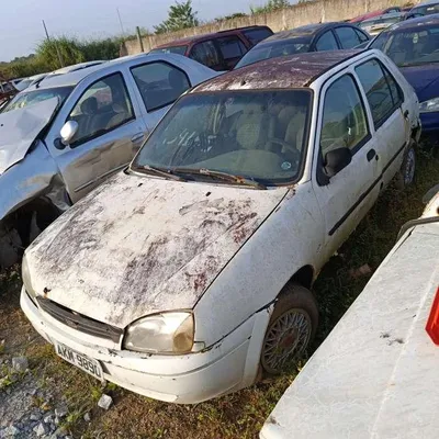 Foto