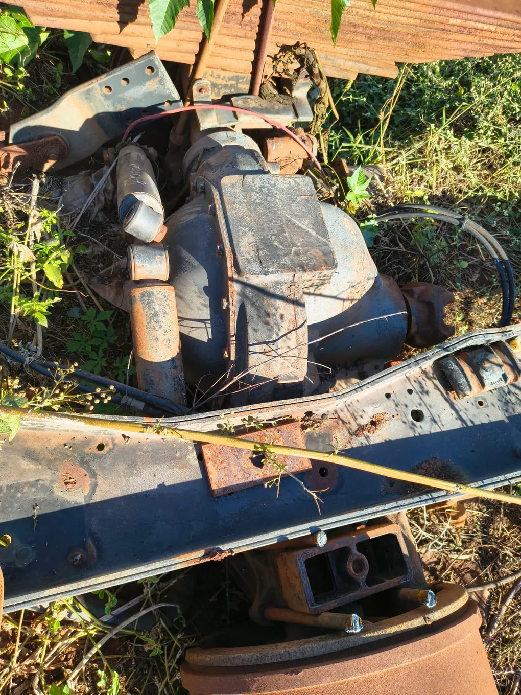 Foto