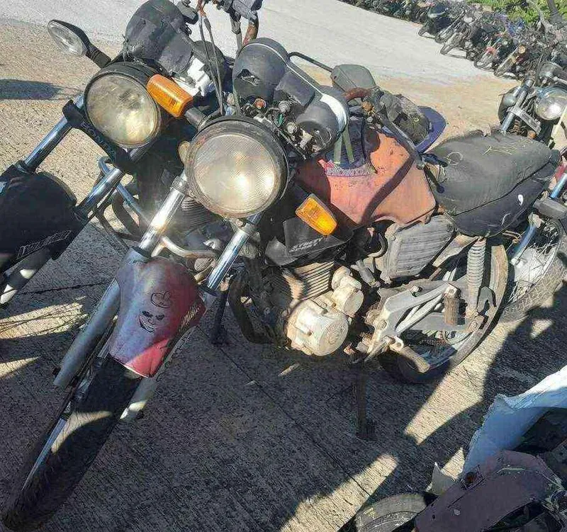 Foto