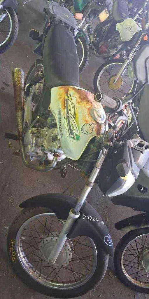Foto