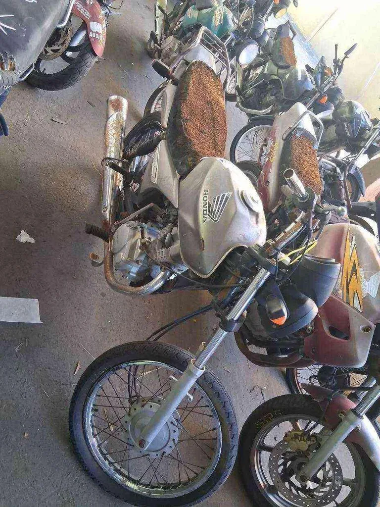 Foto