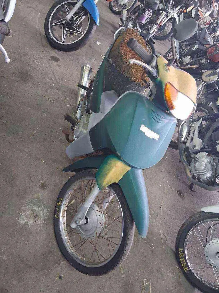 Foto