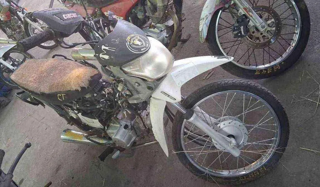 Foto