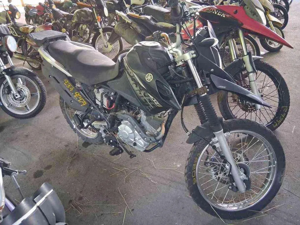 Foto