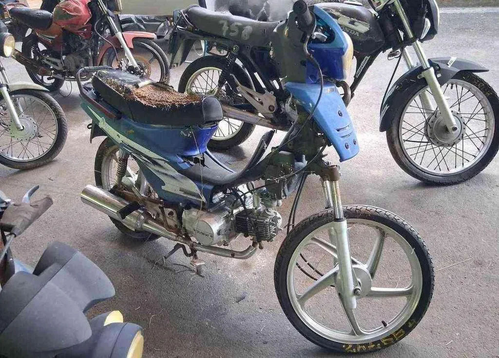 Foto