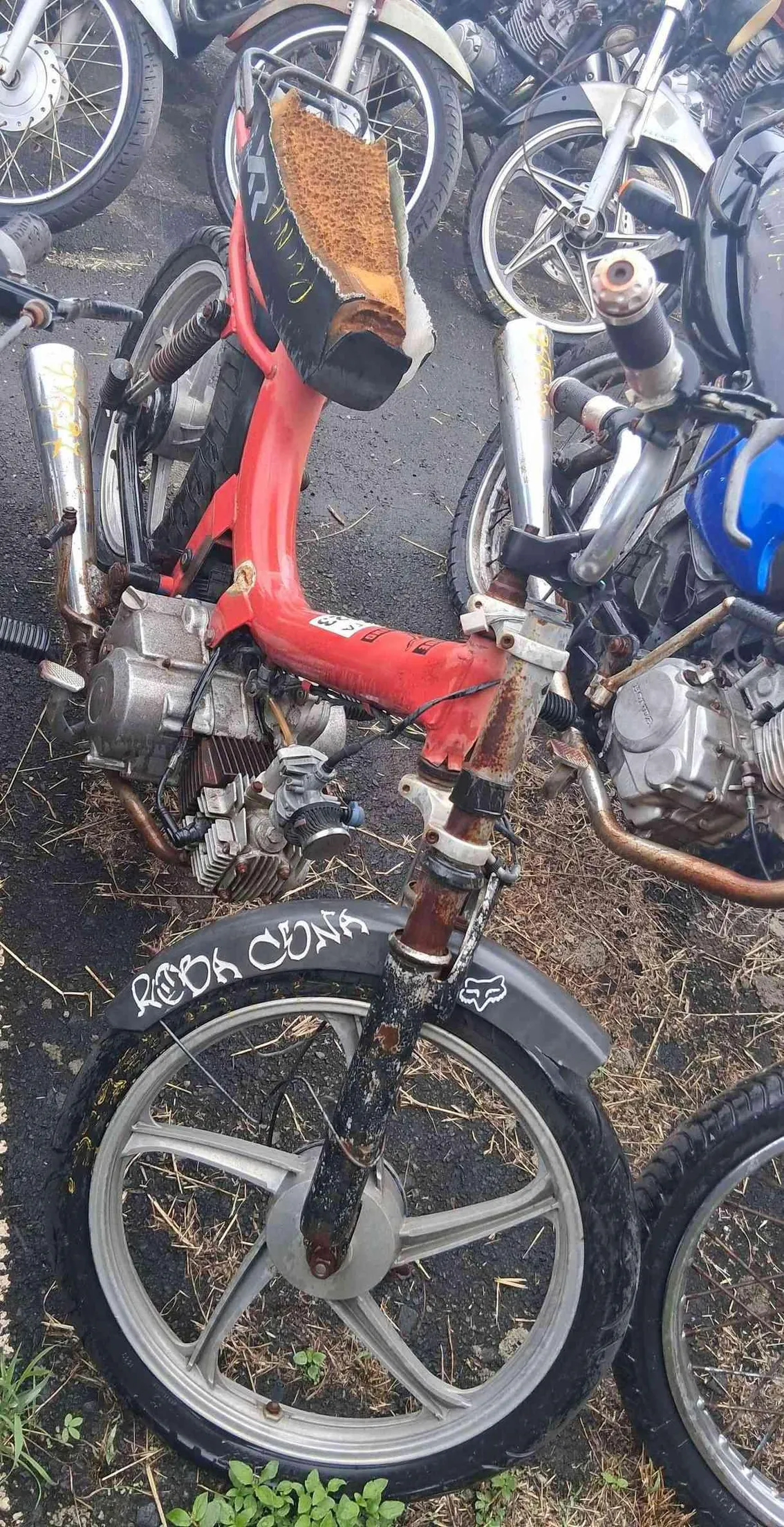 Foto