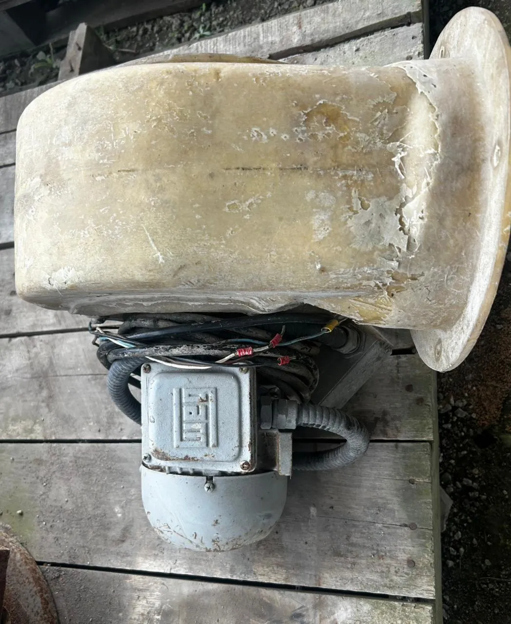Foto