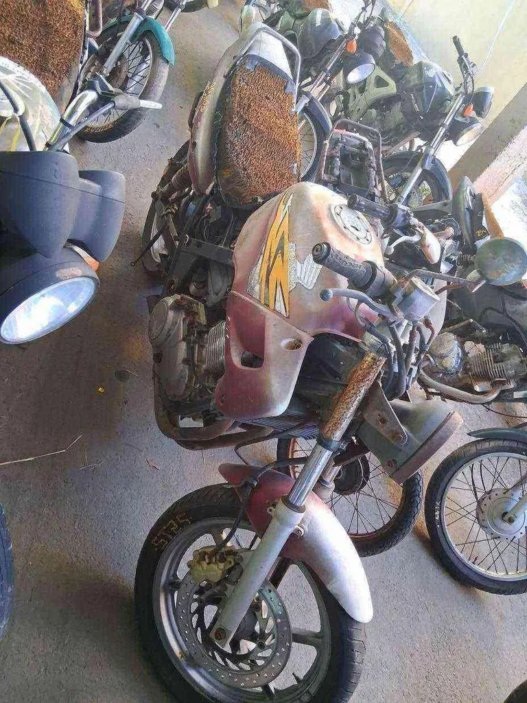 Foto