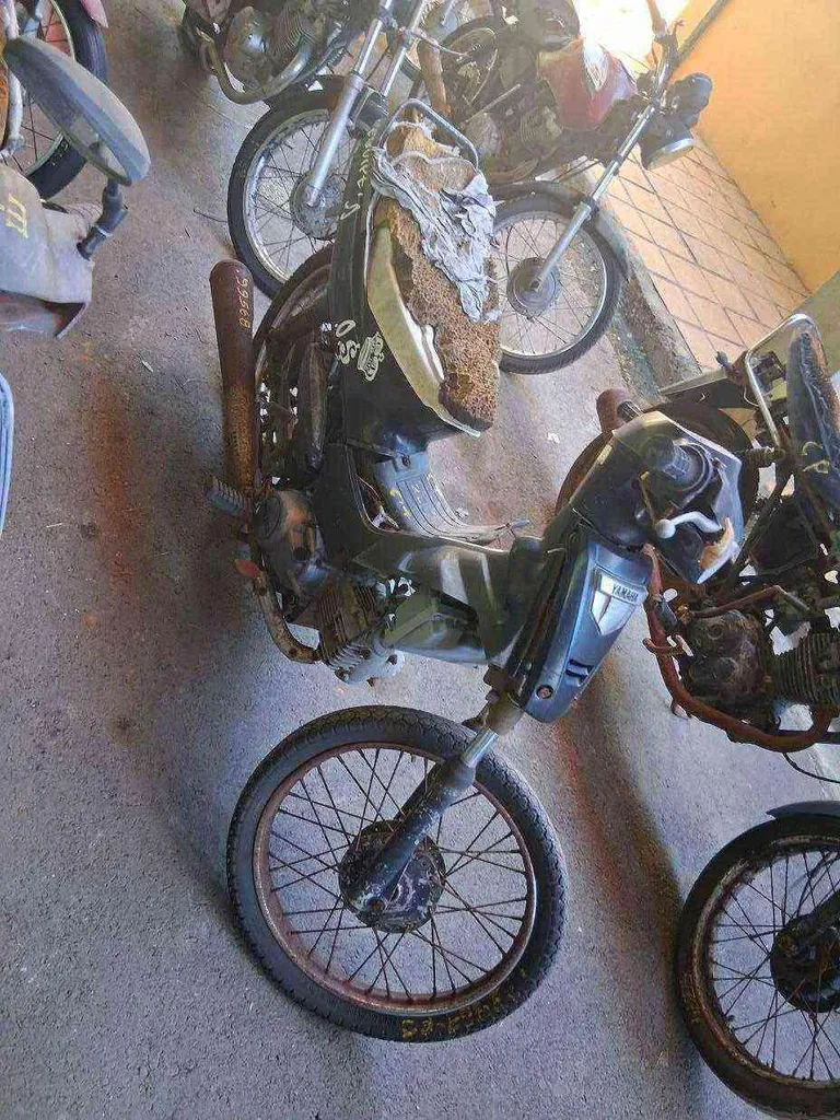 Foto