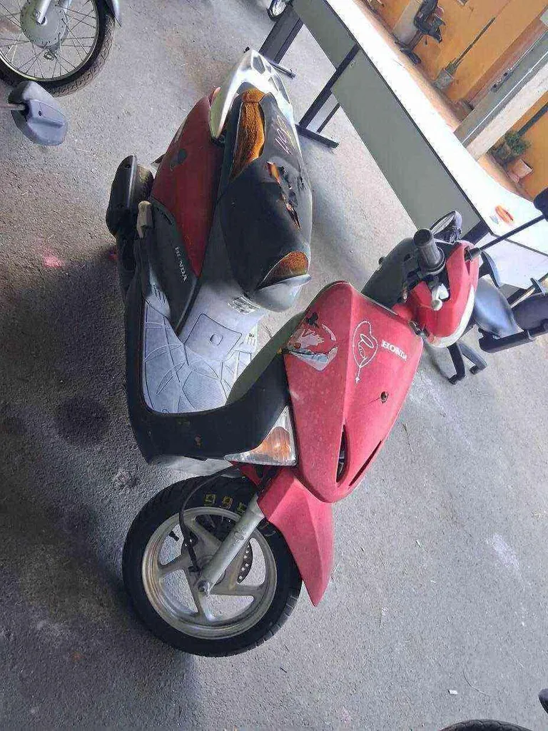 Foto