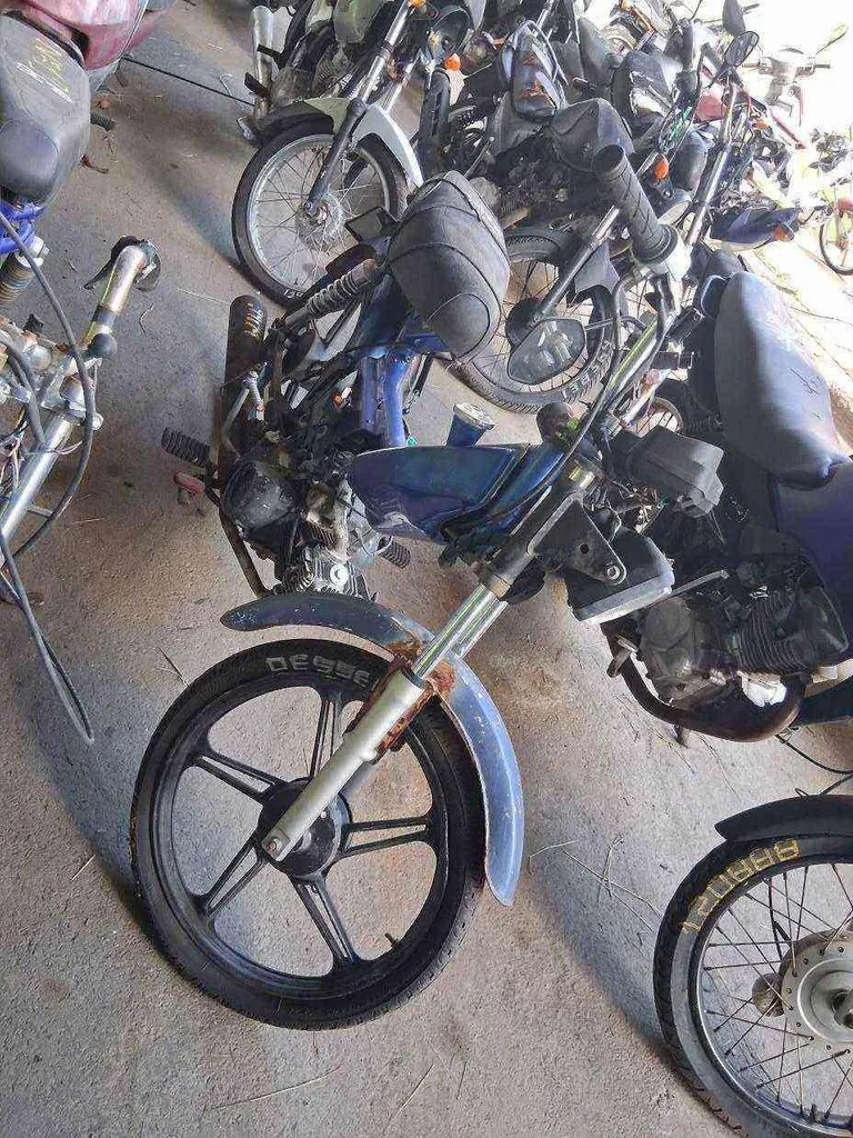 Foto