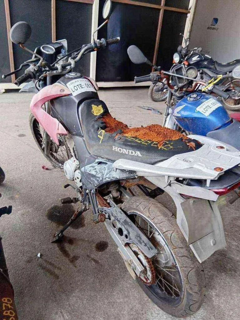 Foto