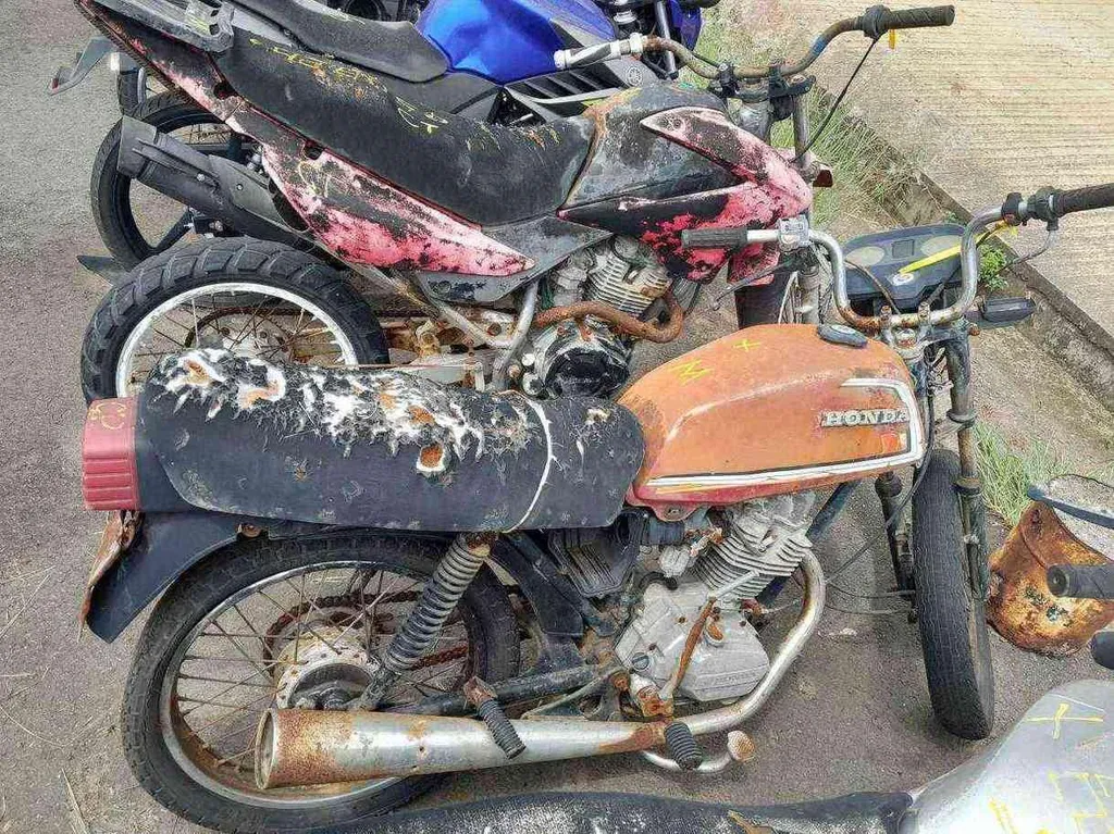 Foto