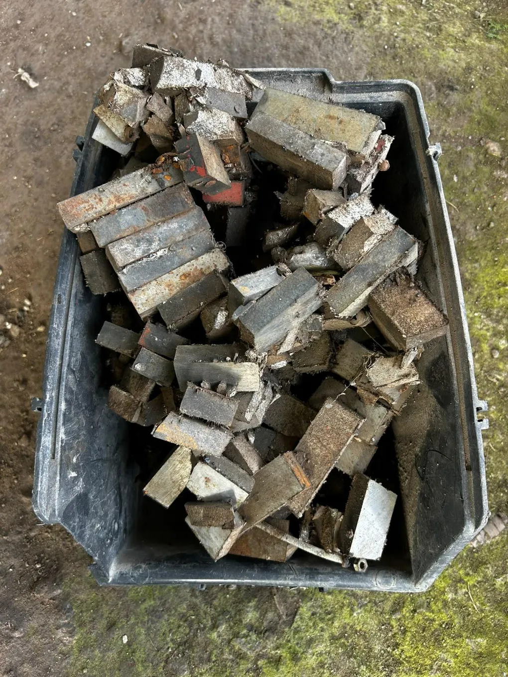 Foto