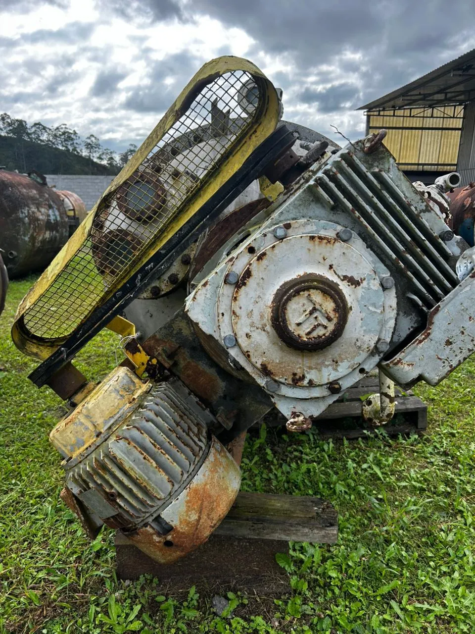 Foto