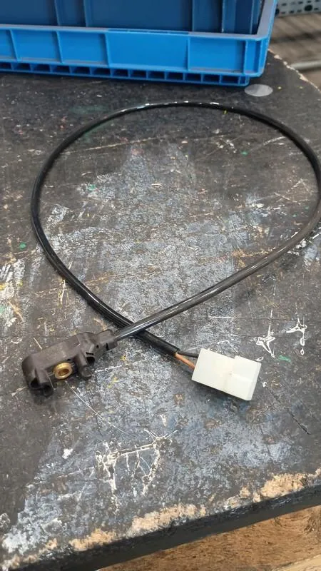 Foto