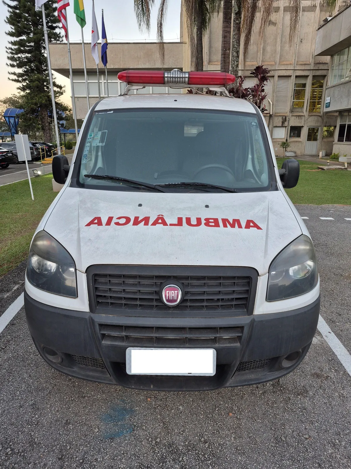 Foto