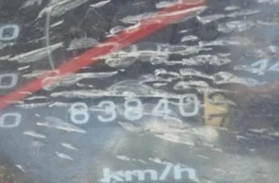 Foto