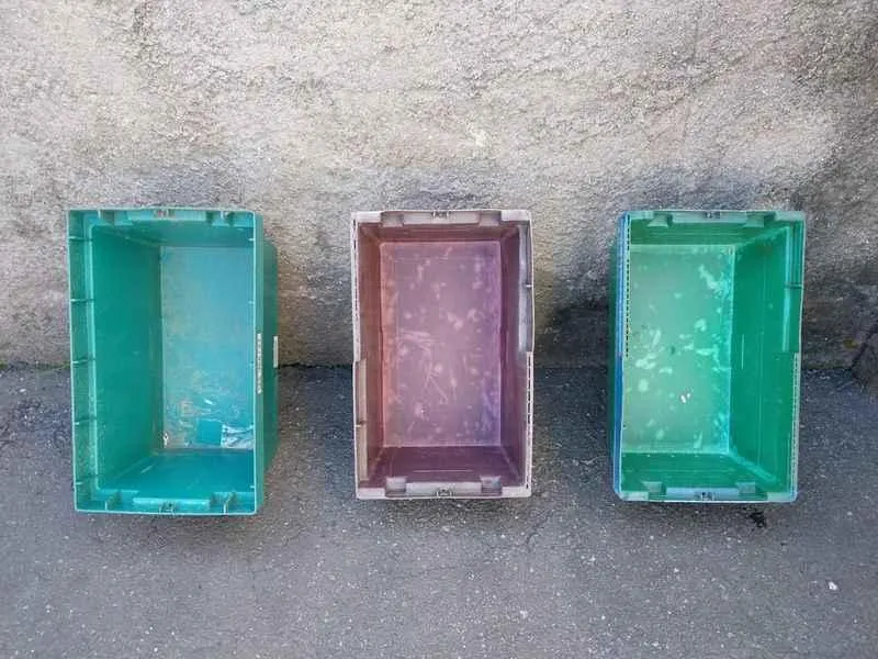 Foto