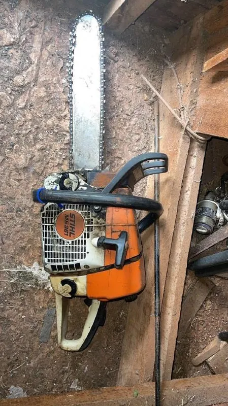 Foto