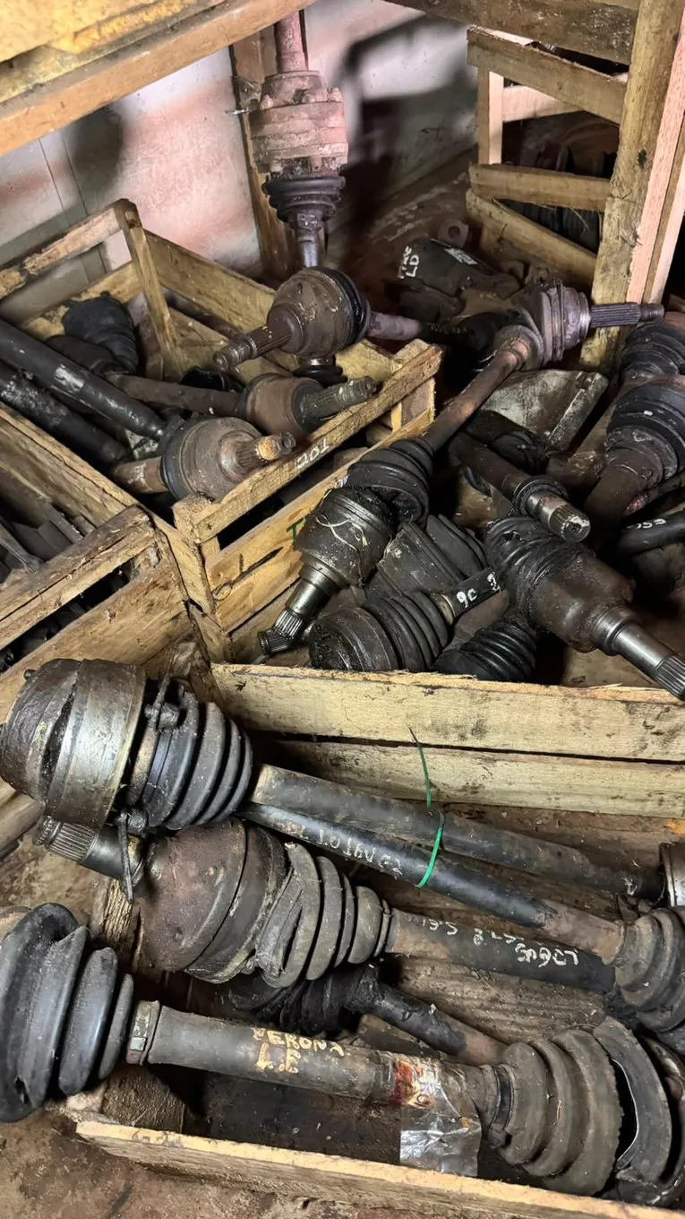 Foto