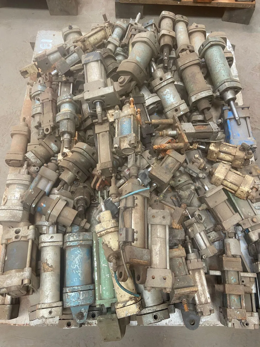 Foto