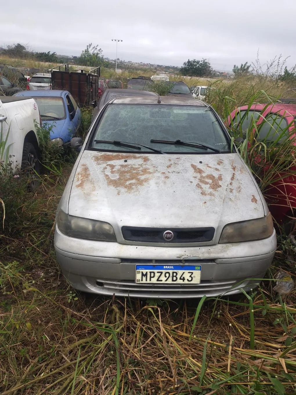 Foto